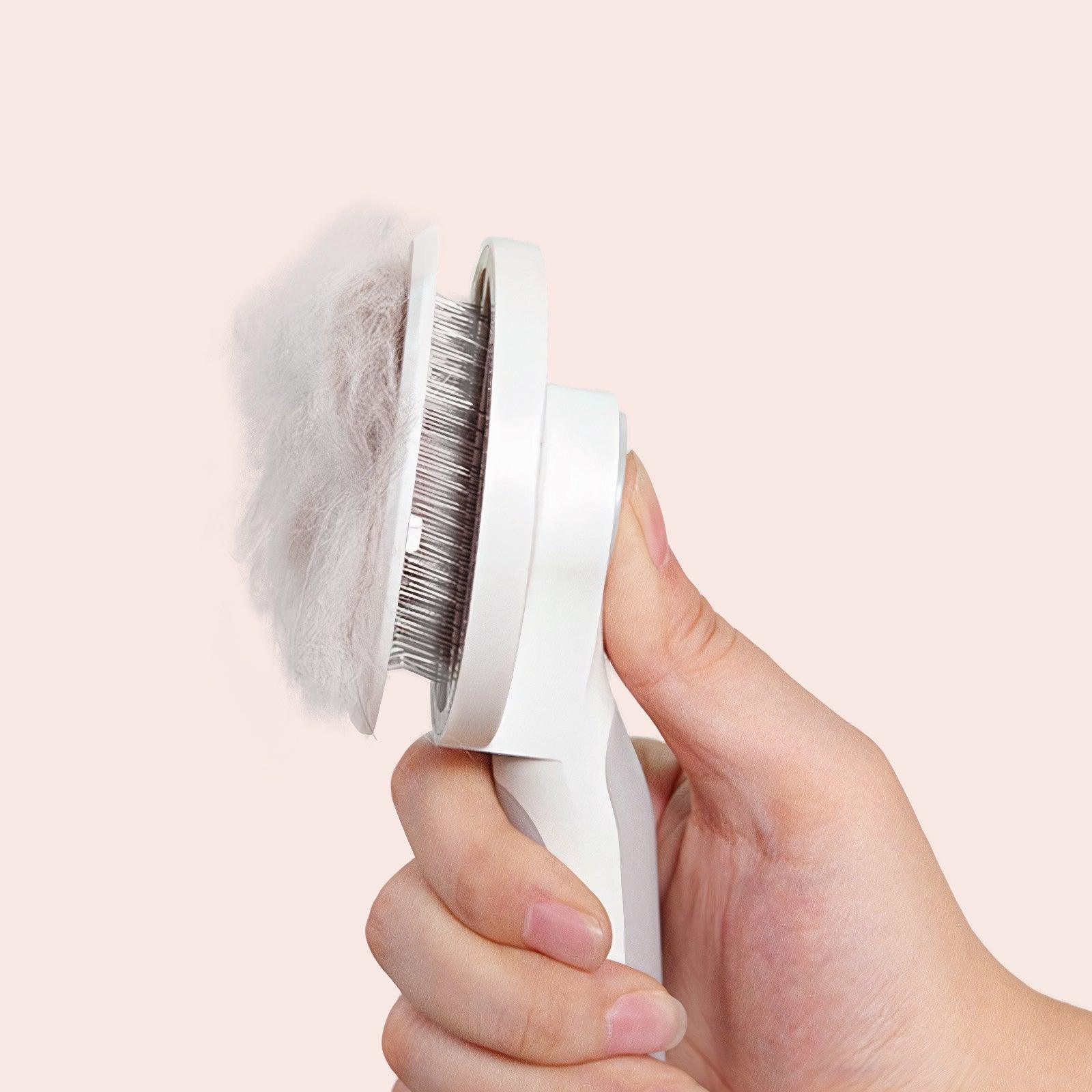 The Self-Cleaning Brush - Wendy Pet Shop