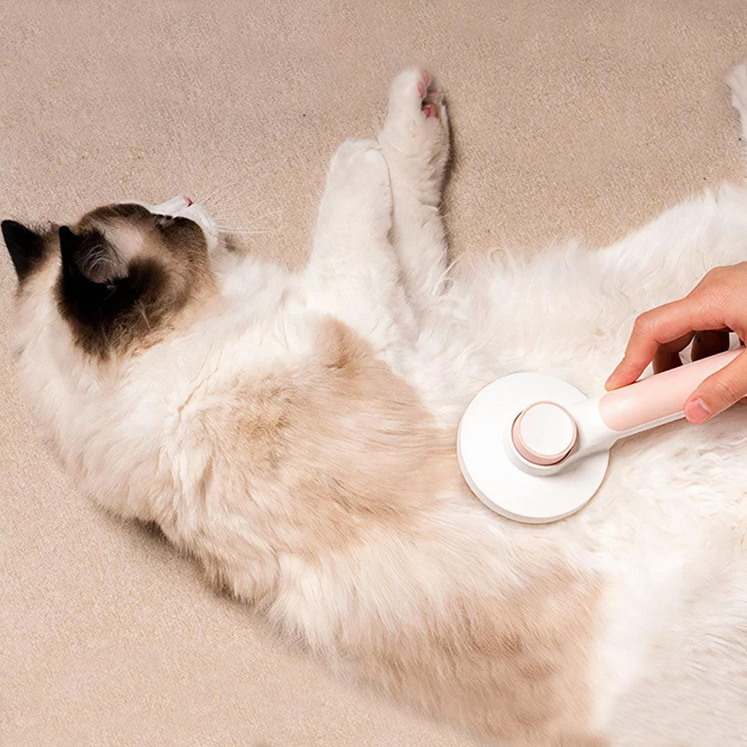 The Self-Cleaning Brush - Wendy Pet Shop