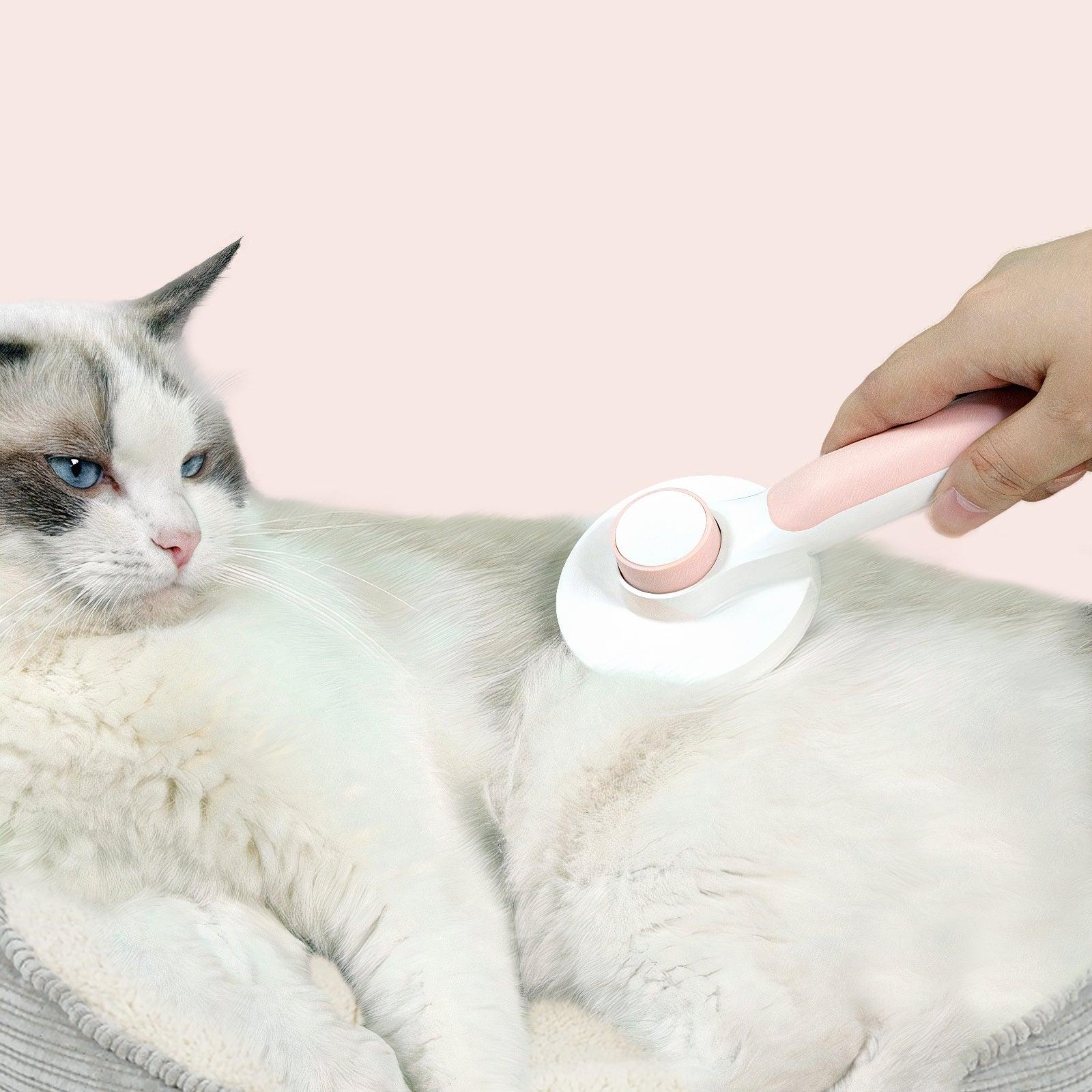 The Self-Cleaning Brush - Wendy Pet Shop