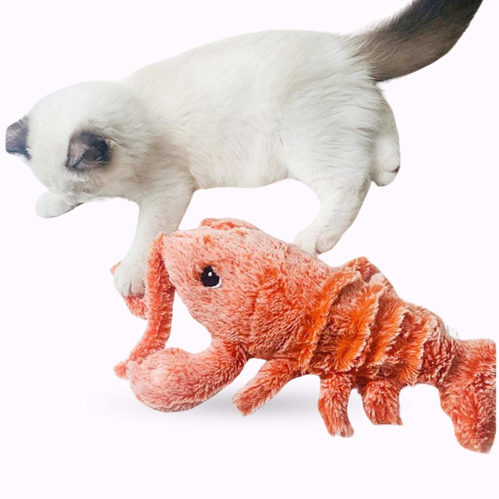 Electric Jumping Shrimp Cat Toy