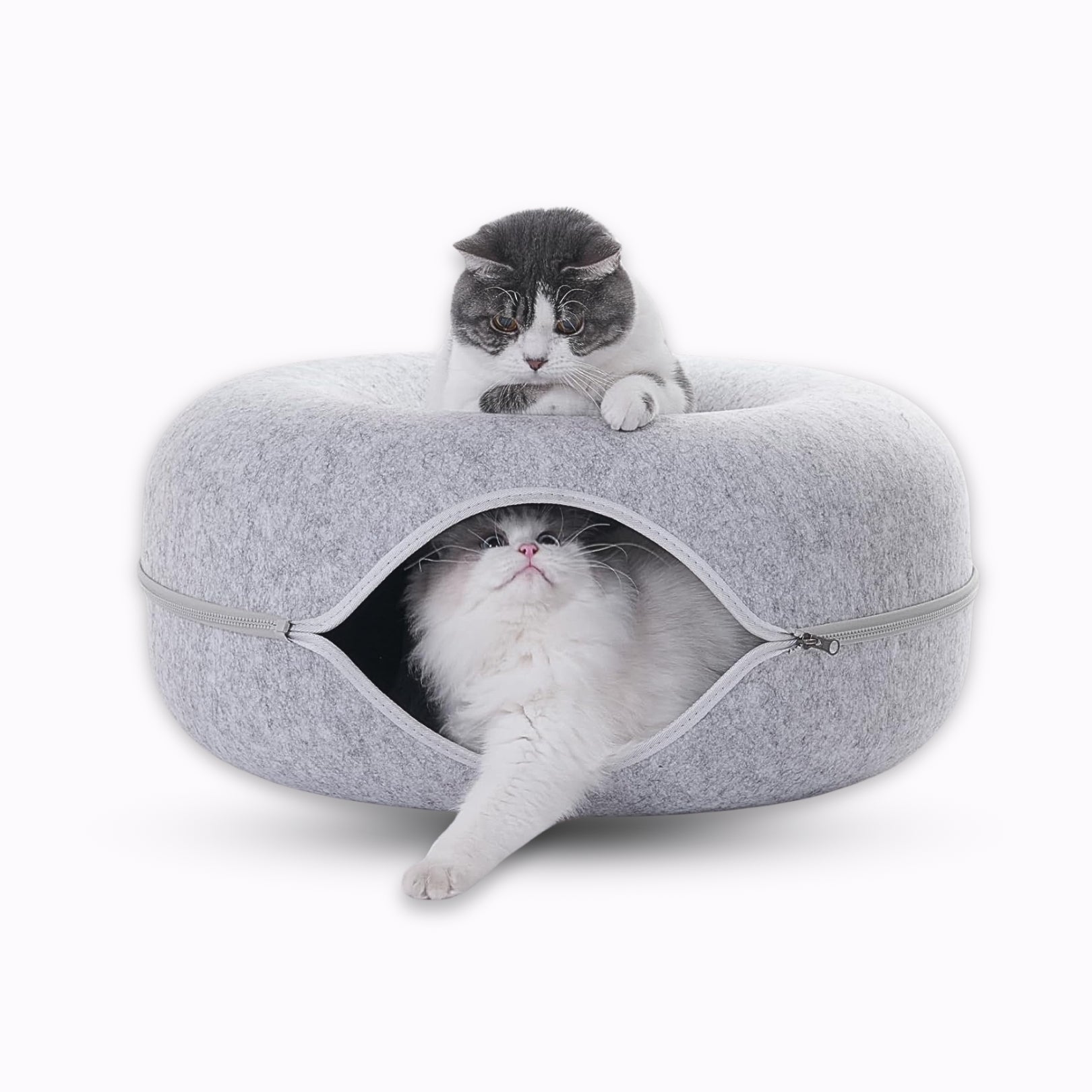 Wendy™ Donut Cat Tunnel Bed
