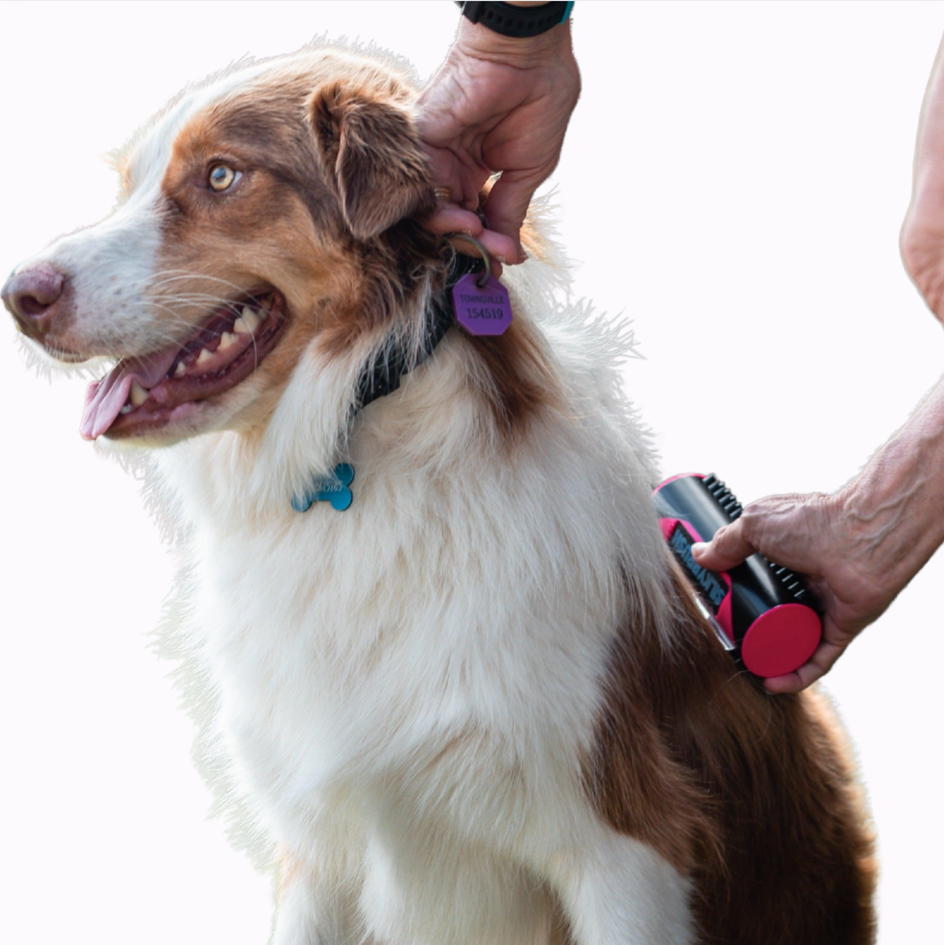 Wendy Pet Shop ™ Portable Brush