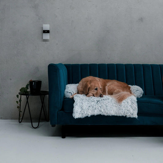 Wendy Pet Shop™ Calming Furniture Protector - Wendy Pet Shop 