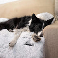 Wendy Pet Shop™ Calming Furniture Protector - Wendy Pet Shop 