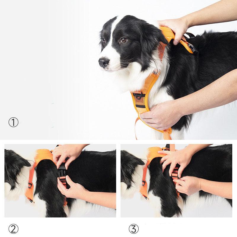 Wendy Pet Shop™ Dog Harness and Retractable Leash Set All-in-One - Wendy Pet Shop 
