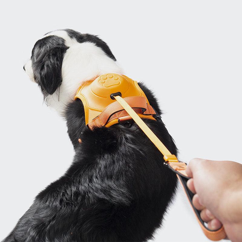Wendy Pet Shop™ Dog Harness and Retractable Leash Set All-in-One - Wendy Pet Shop 