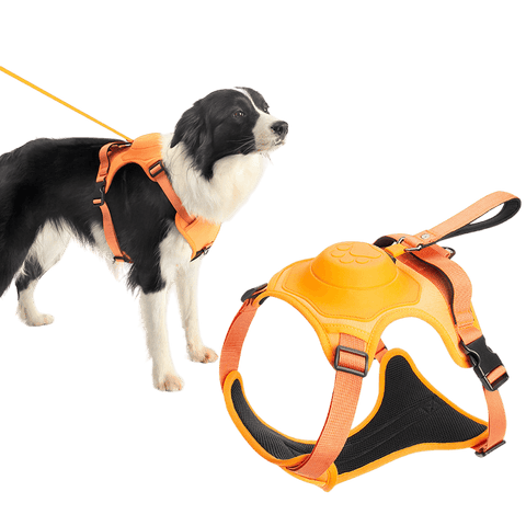 Wendy Pet Shop™ Dog Harness and Retractable Leash Set All-in-One - Wendy Pet Shop 